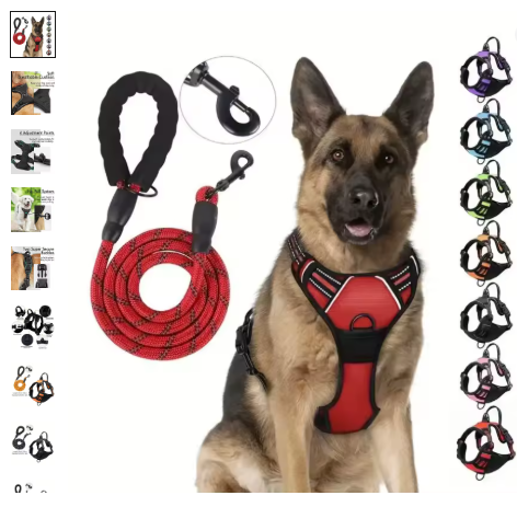 Collars - Muzzle - Mouth Guard