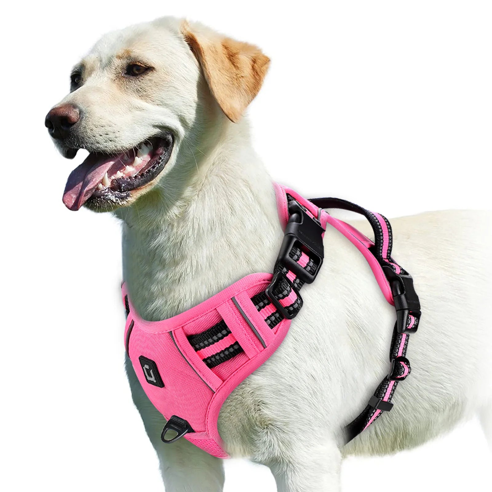 Dog Harness Type: Vest Harnesses