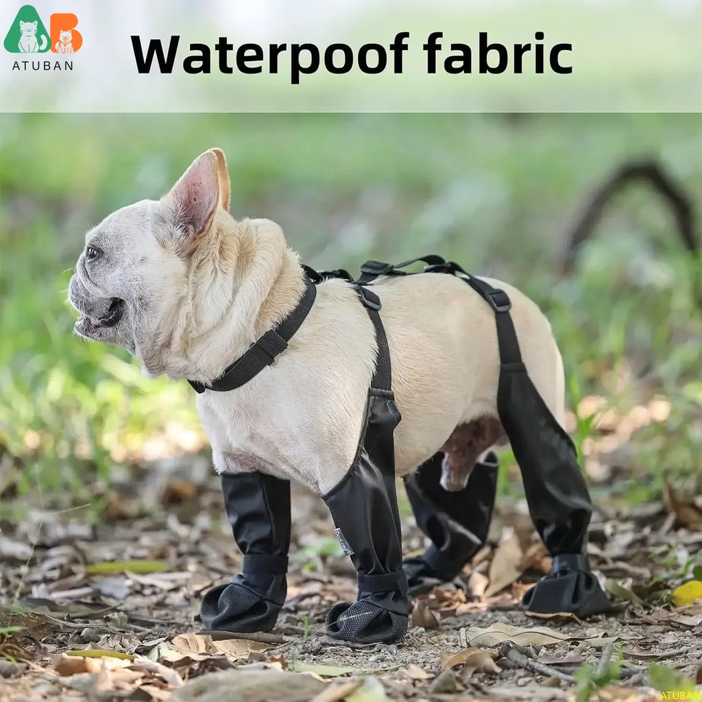 Waterproof boots for dogs