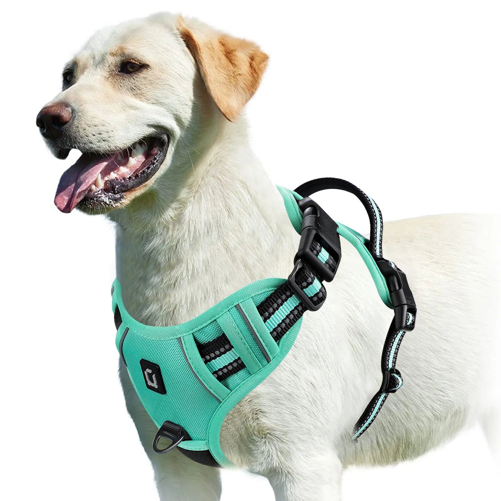 Dog Harness Type: Vest Harnesses