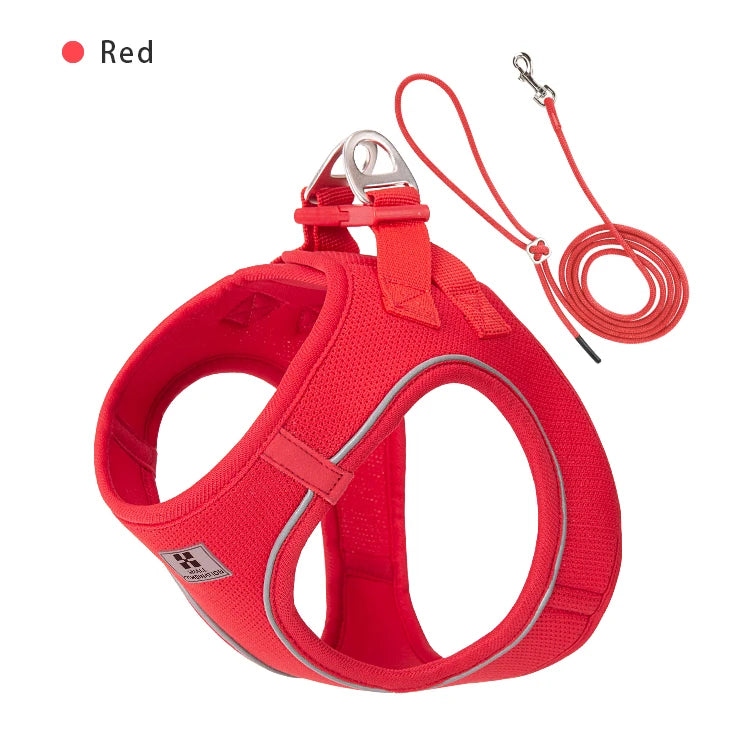 Dog collar and lead set