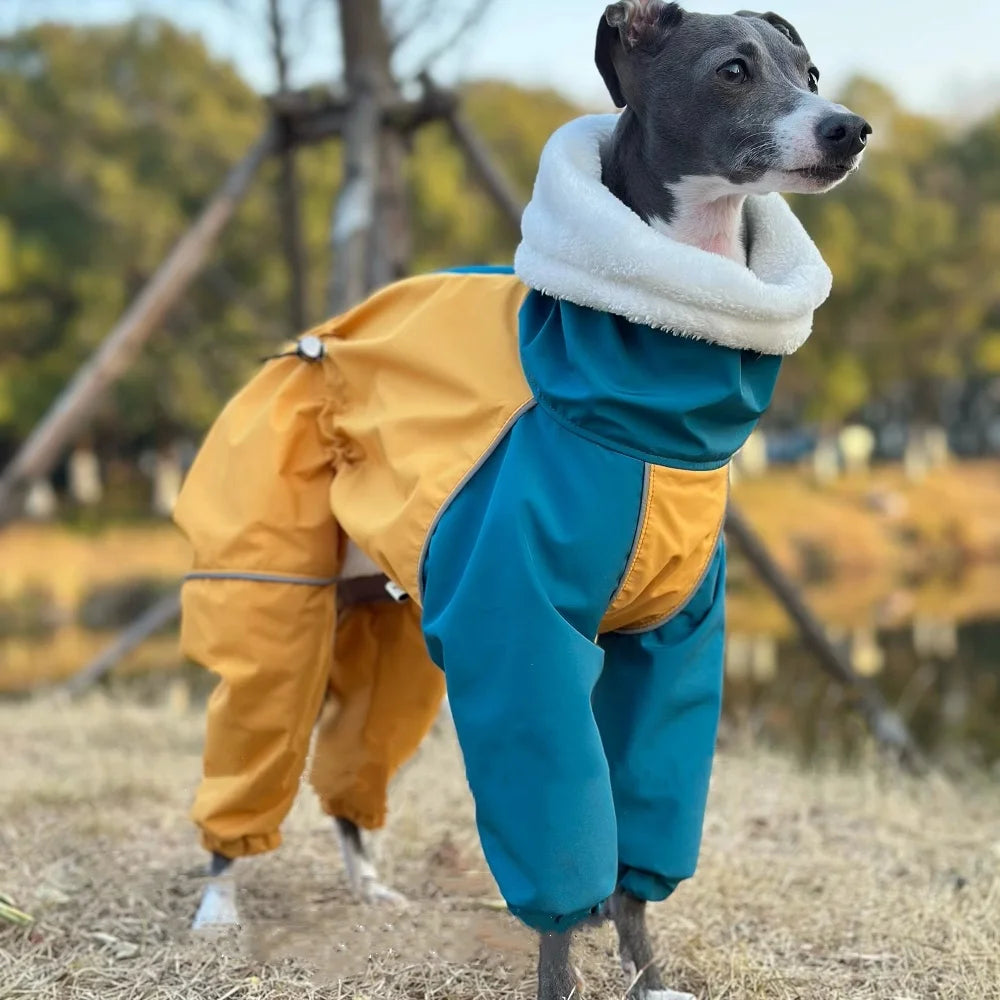 Mid Dog Clothes in Winter 4-legged Plush Blue-Yellow Jacket Windproof Waterproof Zipper Coat Warm RainCoat for Italian Greyhound