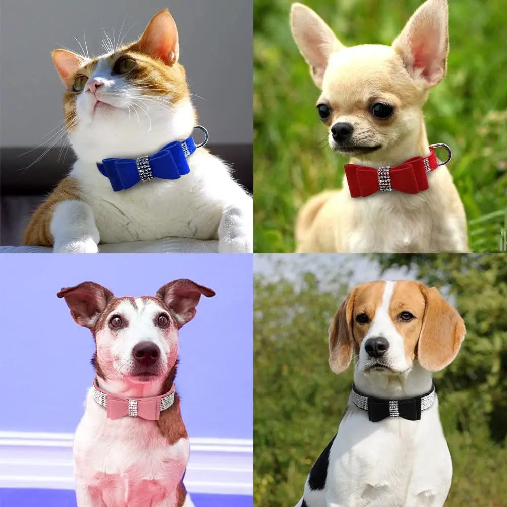 Pet Dog Velvet Leather Collar Leash With Rhinestone Bling Blink Butterfly Fashion Pet Leash Accessories Blind Drop Shipping