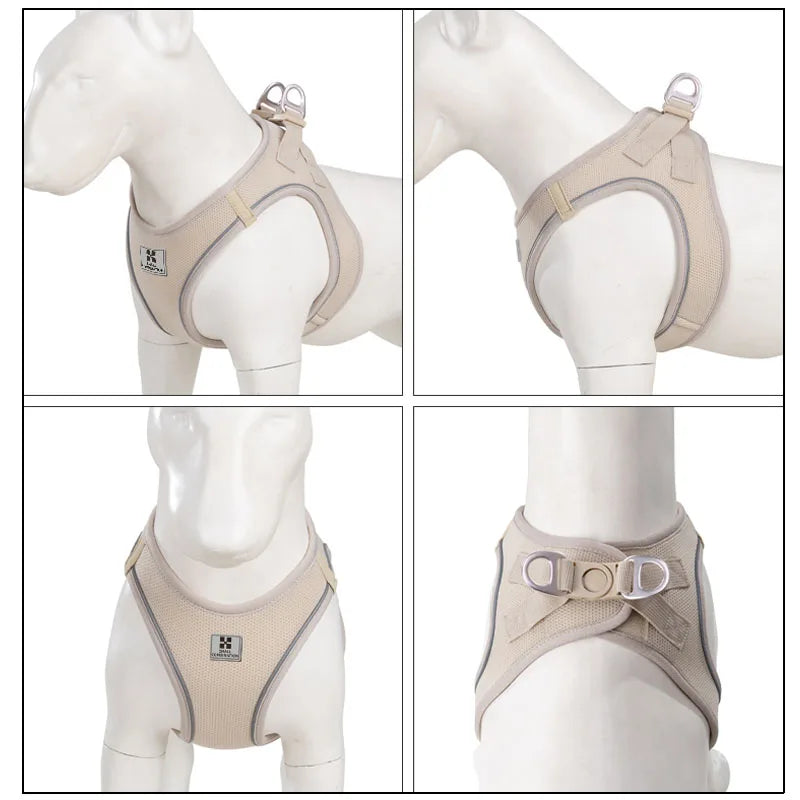 Dog collar and lead set