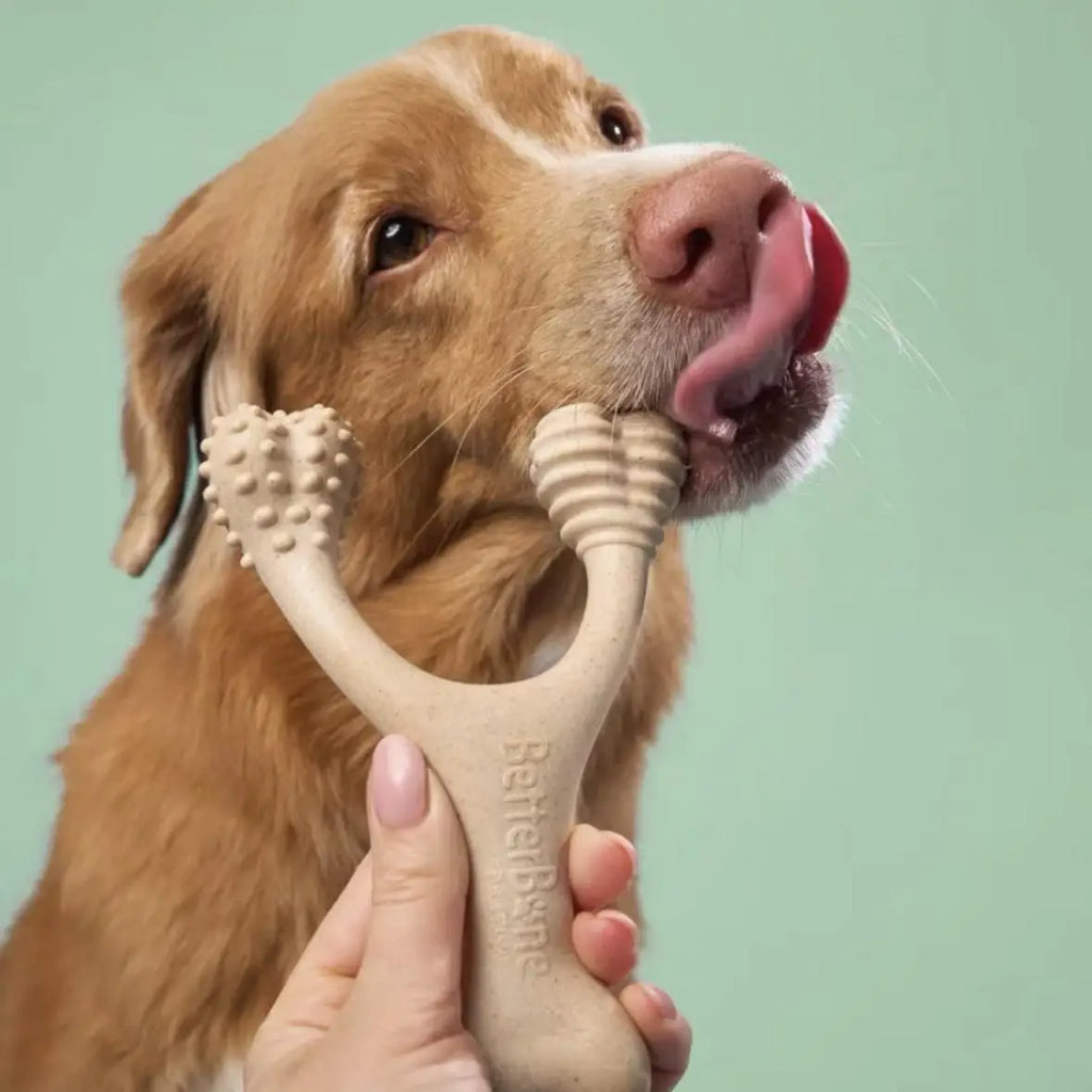 Betterbone Dog Chew Bone Medium Hardn Digestible Not Contain Harmful Plastic Substances Food ade Dog Chew Toy