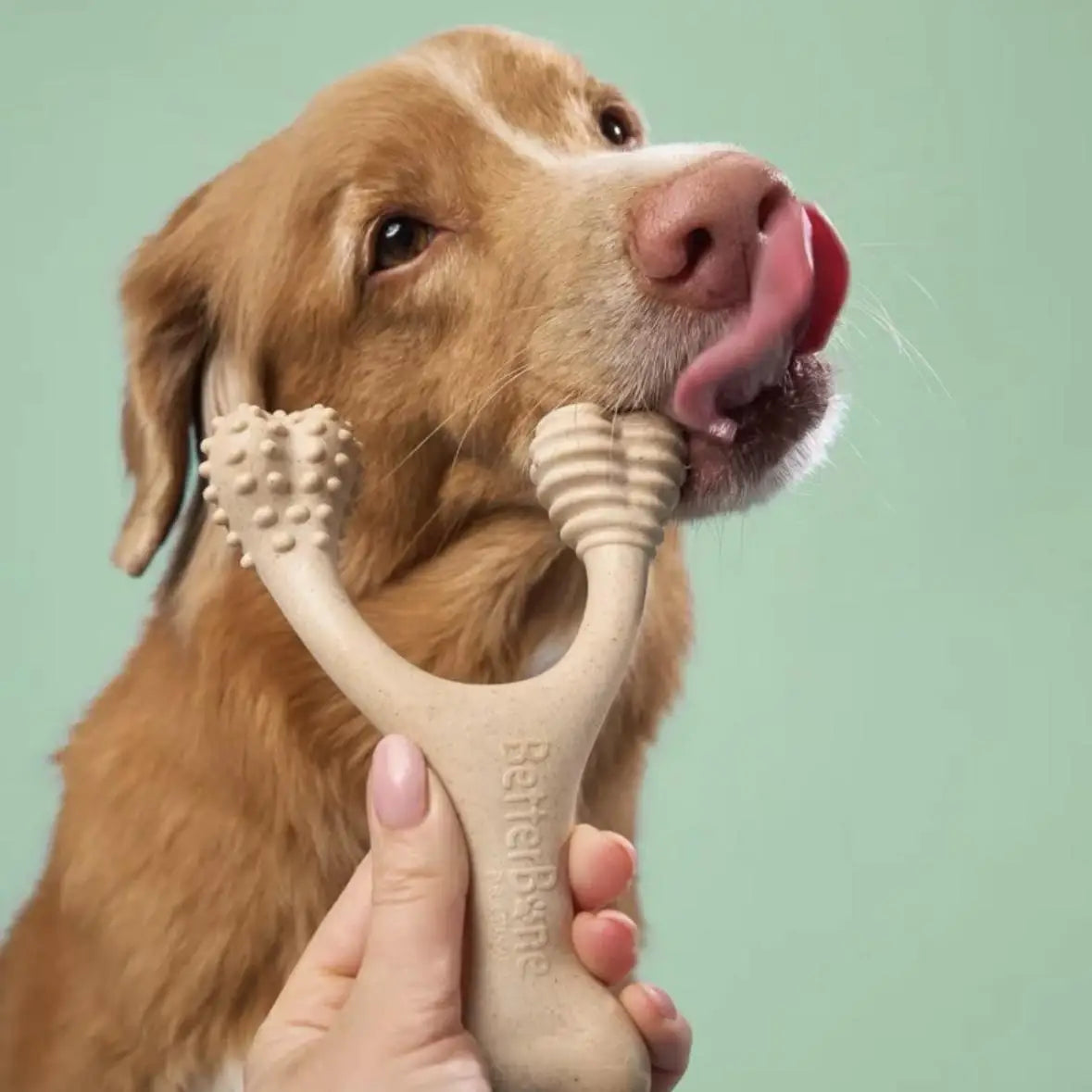 Betterbone Dog Chew Bone Medium Hardn Digestible Not Contain Harmful Plastic Substances Food ade Dog Chew Toy