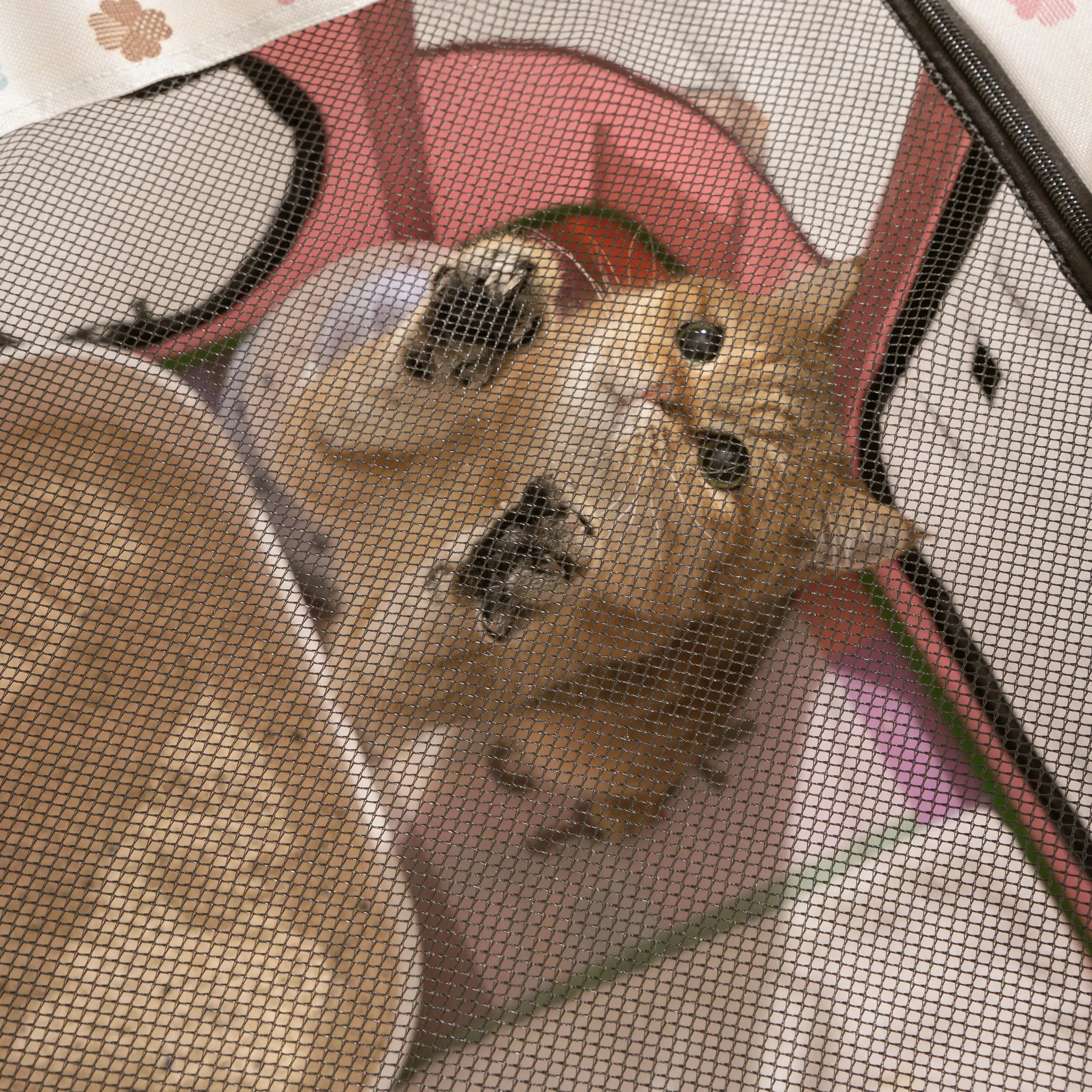 Extra-large, Breathable and See-through Cat Delivery Room With a Pattern Of Broken Flower Prints Hard 300D Oxford cloth Cat Nest