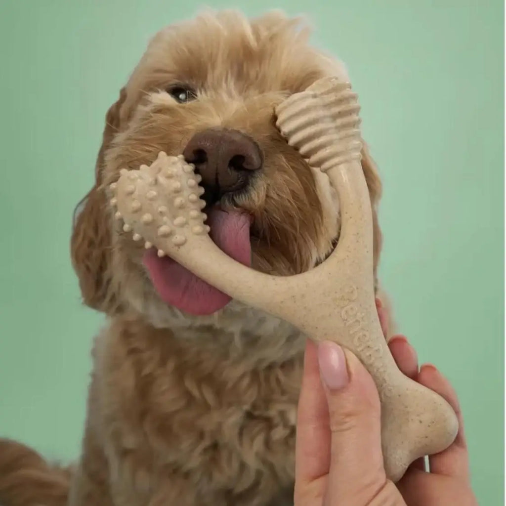 Betterbone Dog Chew Bone Medium Hardn Digestible Not Contain Harmful Plastic Substances Food ade Dog Chew Toy