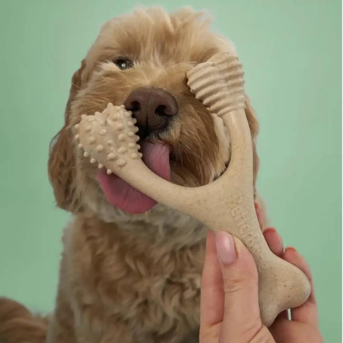 Betterbone Dog Chew Bone Medium Hardn Digestible Not Contain Harmful Plastic Substances Food ade Dog Chew Toy