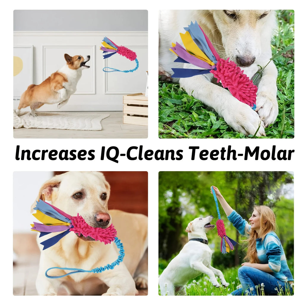 Dog Training Anti-tear Pulling Rope Toy Pet Plush Grinding Teeth Bite-resistant Toy Colorful Rope Ball Dog Interactive PuzzleToy