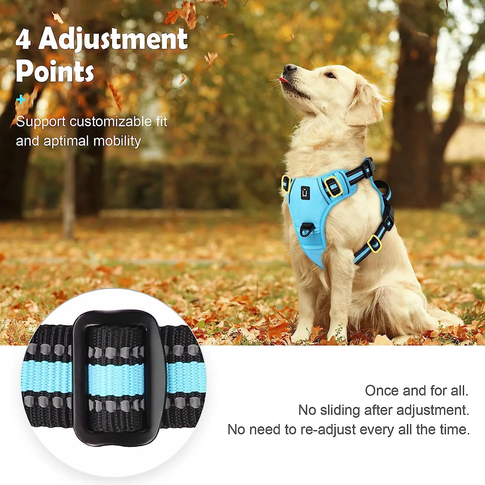 Dog Harness Type: Vest Harnesses