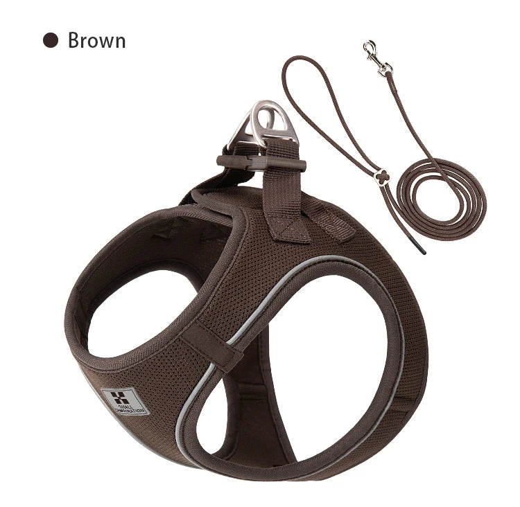 Dog collar and lead set