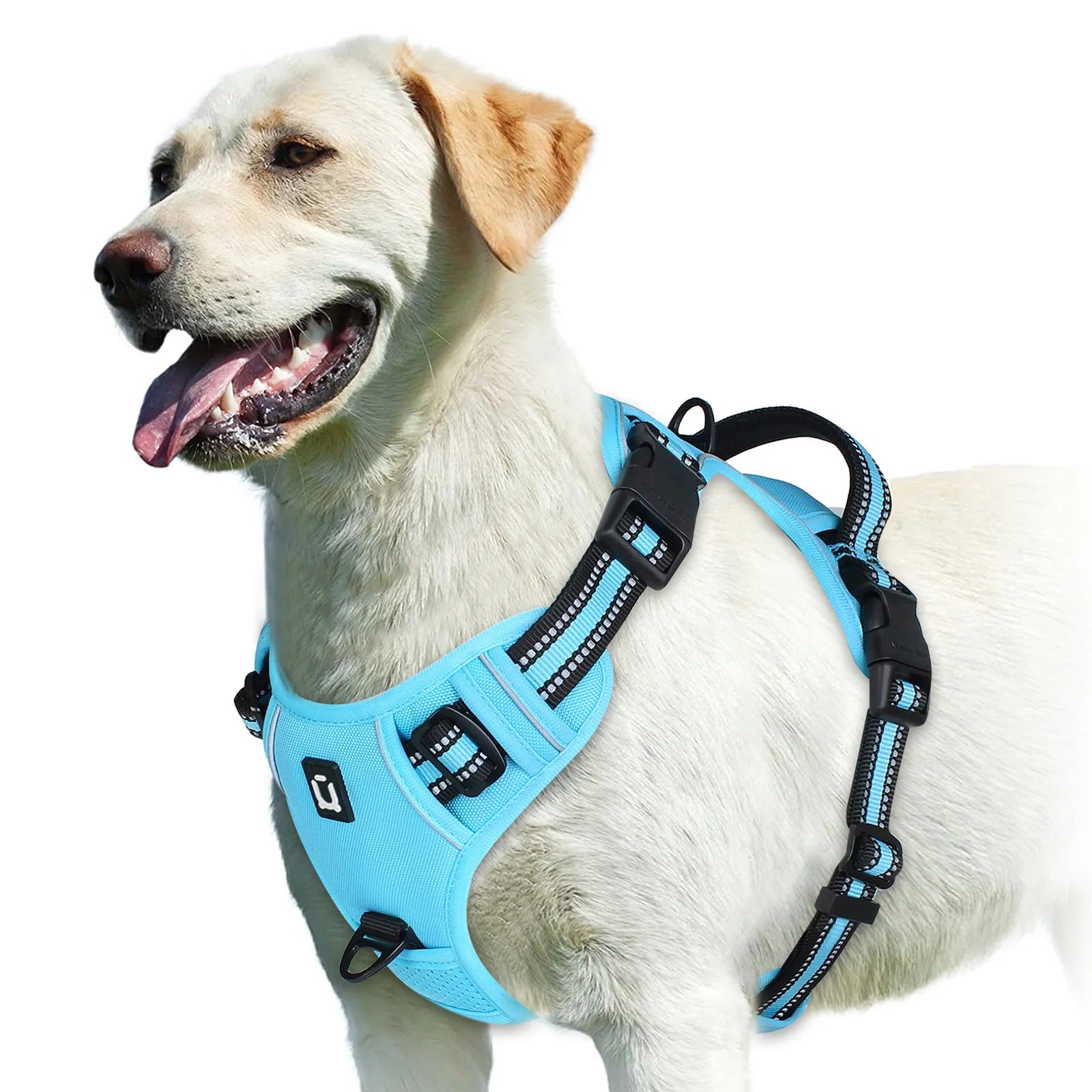 Dog Harness Type: Vest Harnesses