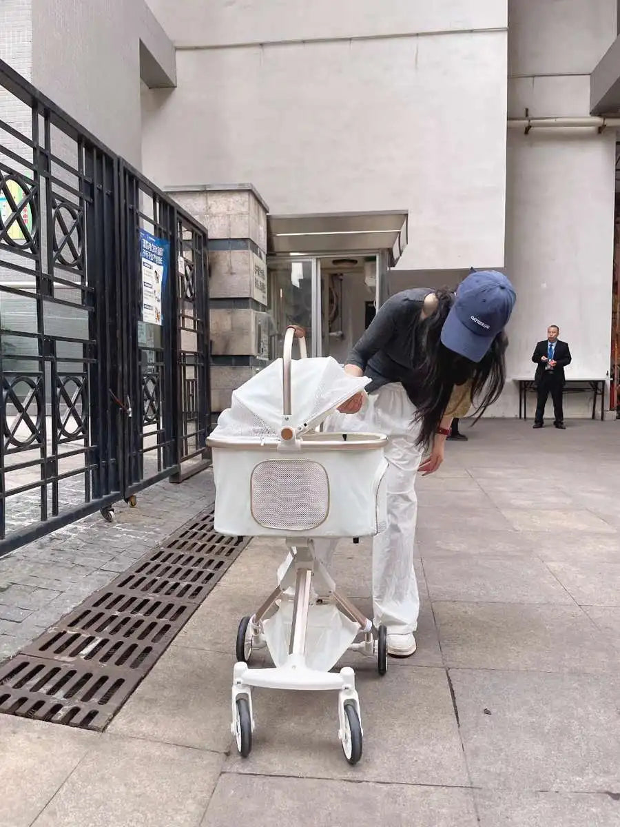 Luxury Cheap 4 Wheel Small Pet Stroller Pet Travel Dog Stroller