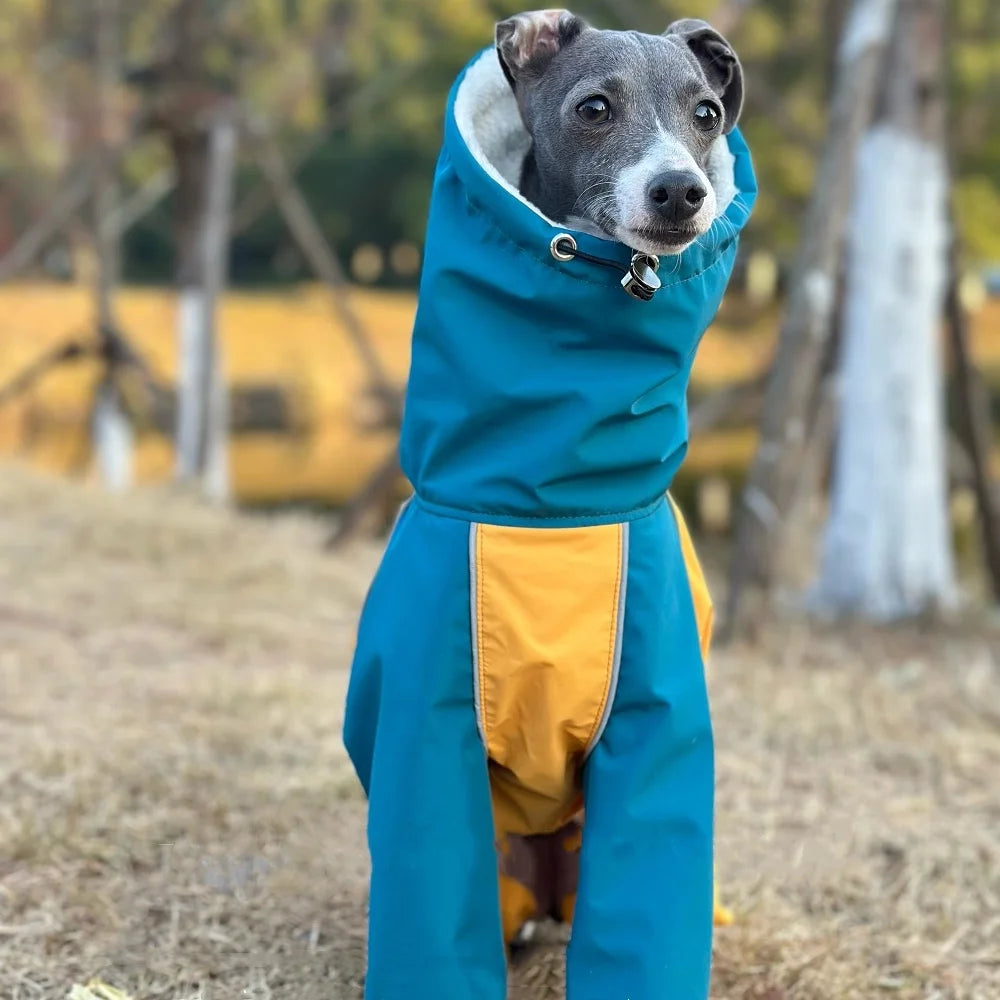 Mid Dog Clothes in Winter 4-legged Plush Blue-Yellow Jacket Windproof Waterproof Zipper Coat Warm RainCoat for Italian Greyhound