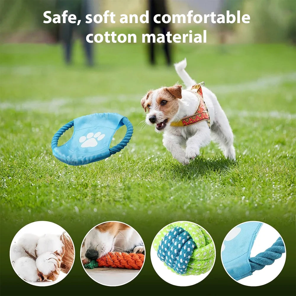 Pet Colorful Accessories Vibrant Dog Toys Squeaking Dog Chew Toys Rope Molar Teeth Cleaning Playtime Fun Kit