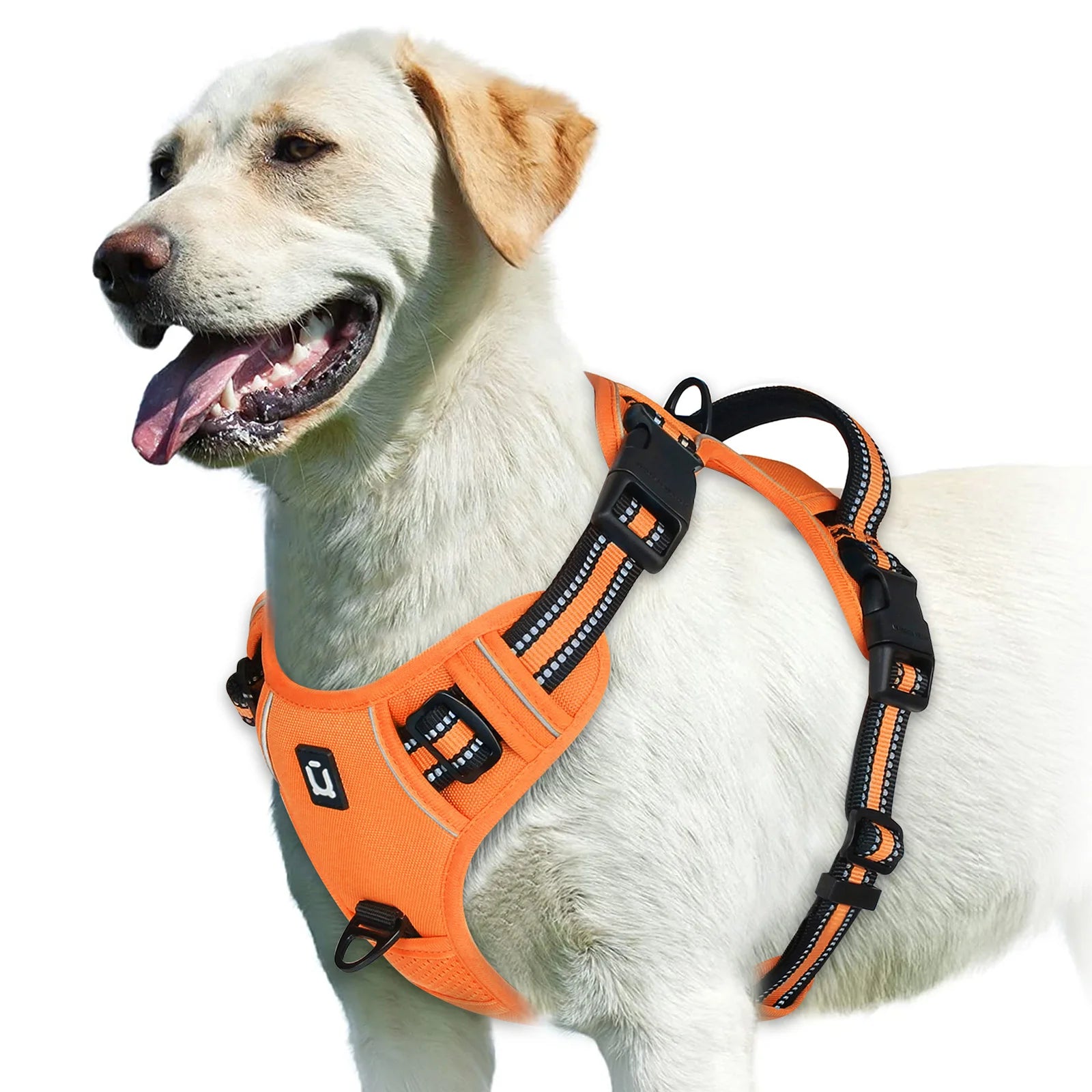 Dog Harness Type: Vest Harnesses