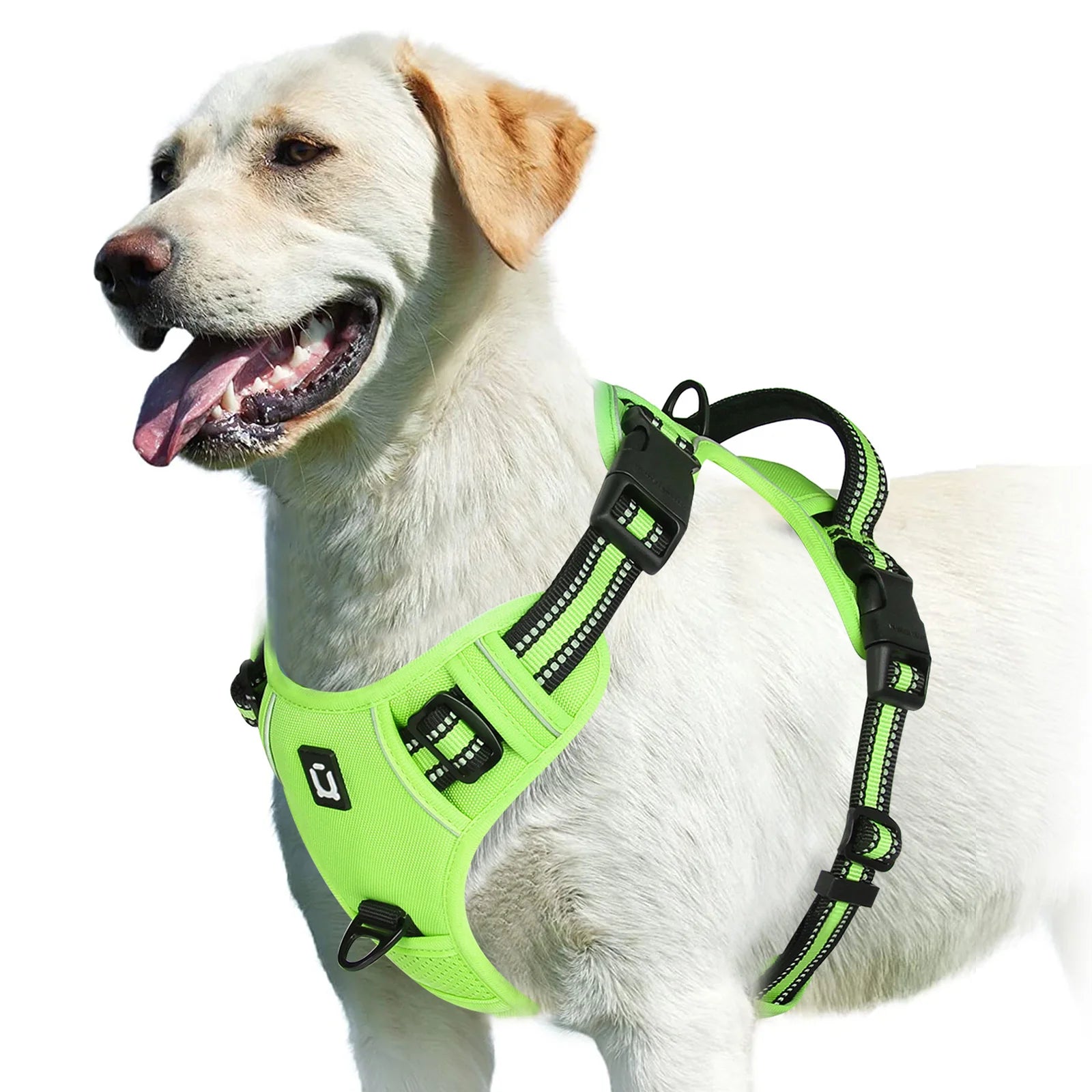 Dog Harness Type: Vest Harnesses