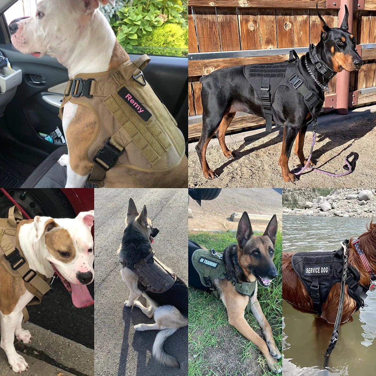 Military Dog Harness Tactical Dog Harness Collar Leash Pet Training Vest Molle Pouches for Large Dogs German Shepherd Doberman