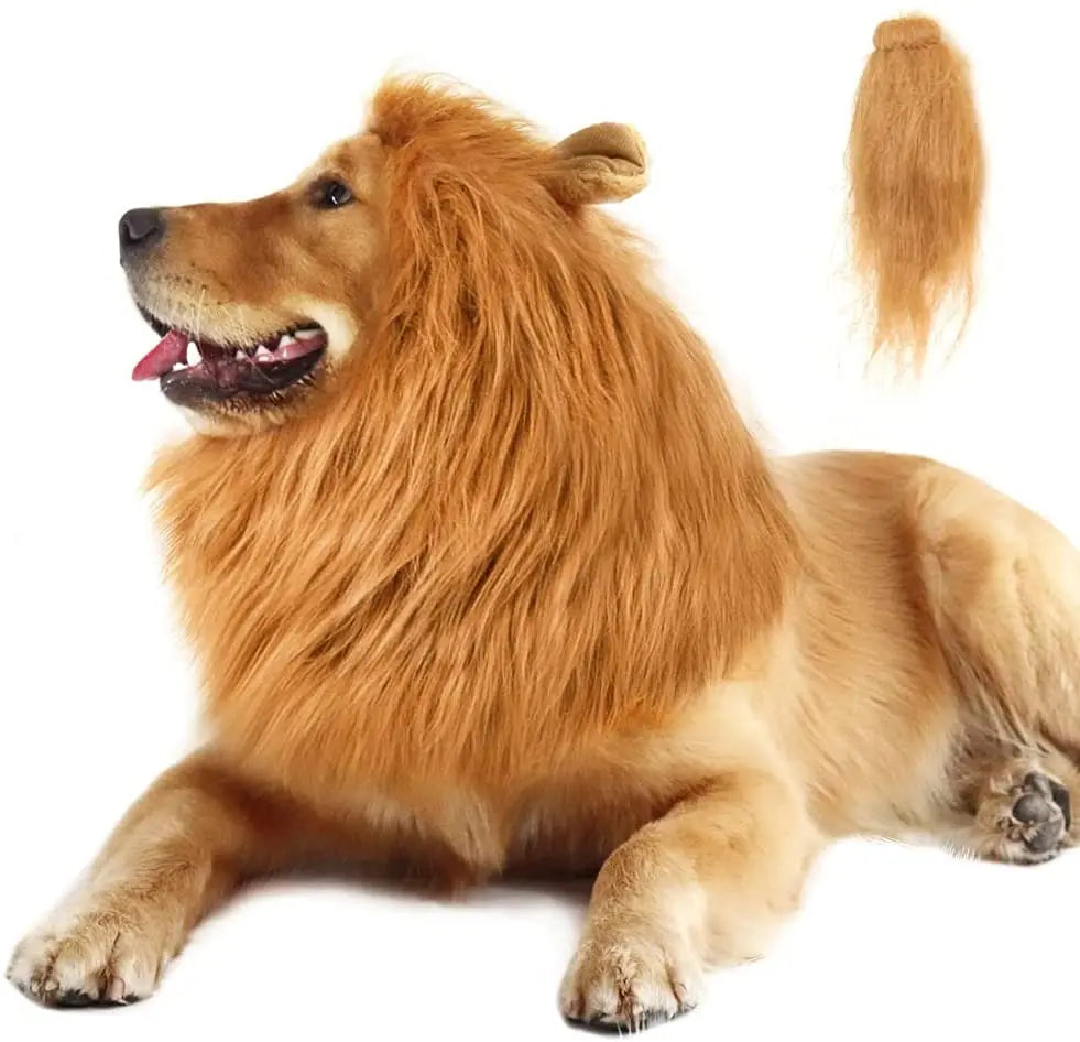 Lion mane for large dogs