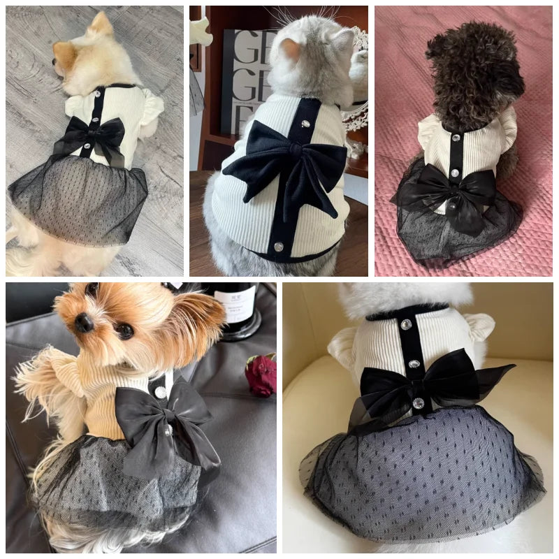 Luxury Dog Dress for Small Dogs