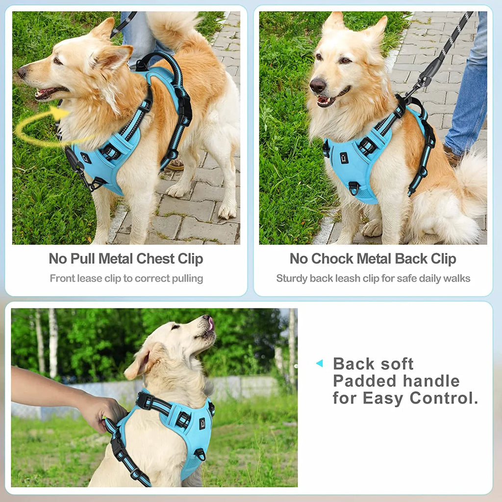 Dog Harness Type: Vest Harnesses