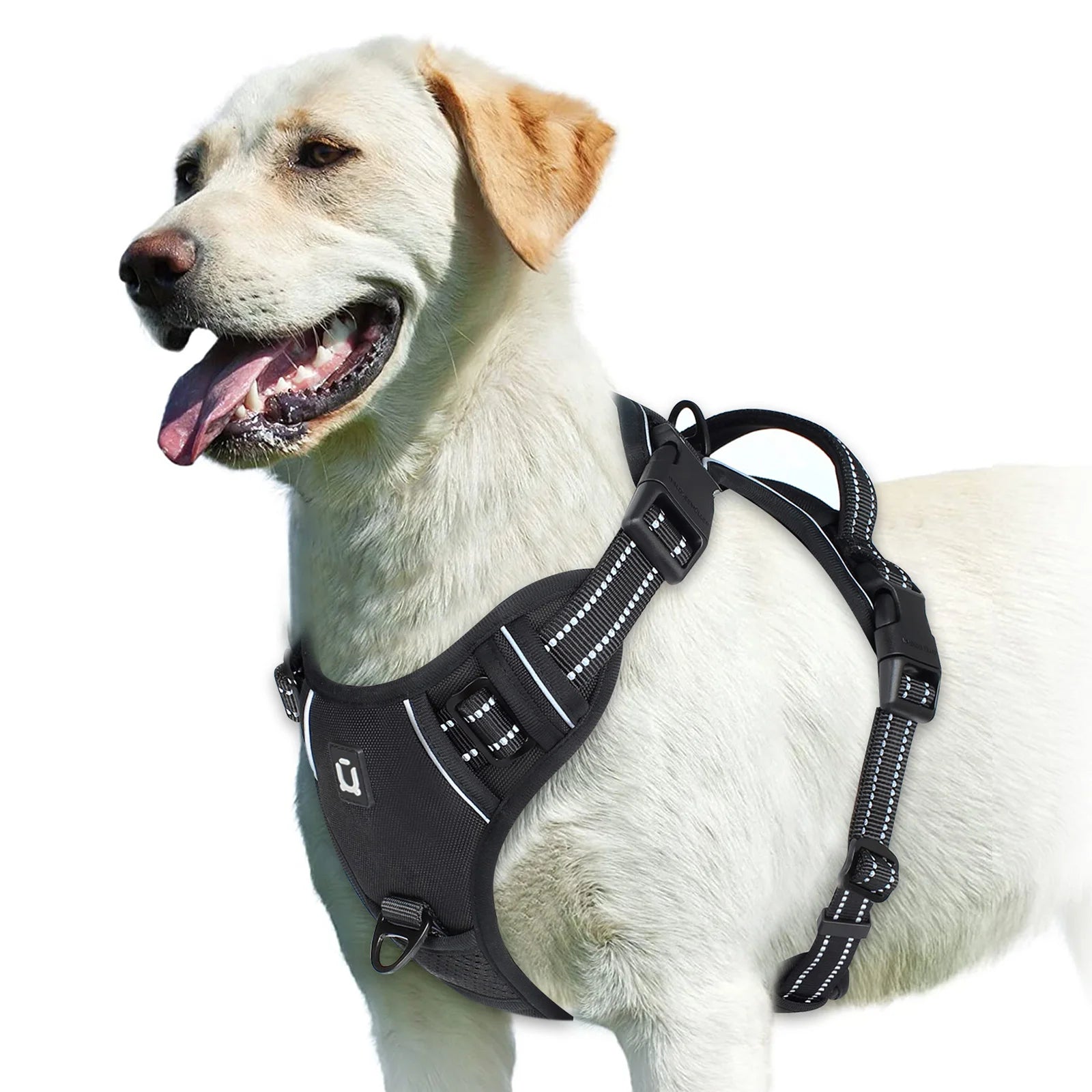 Dog Harness Type: Vest Harnesses