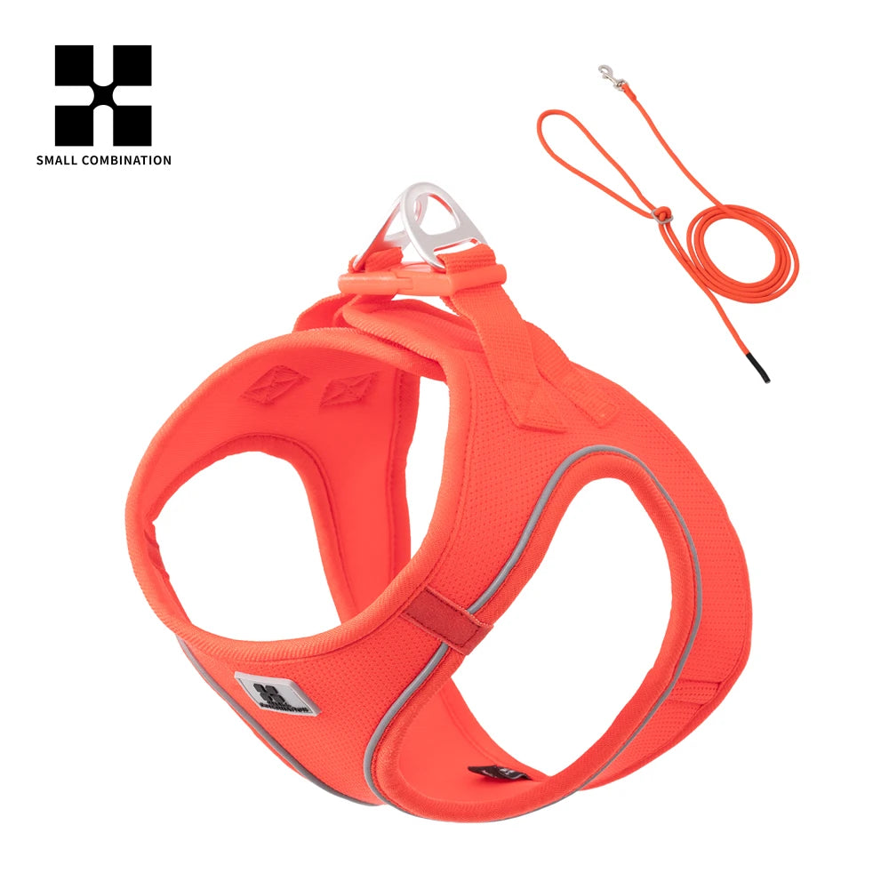 Dog collar and lead set