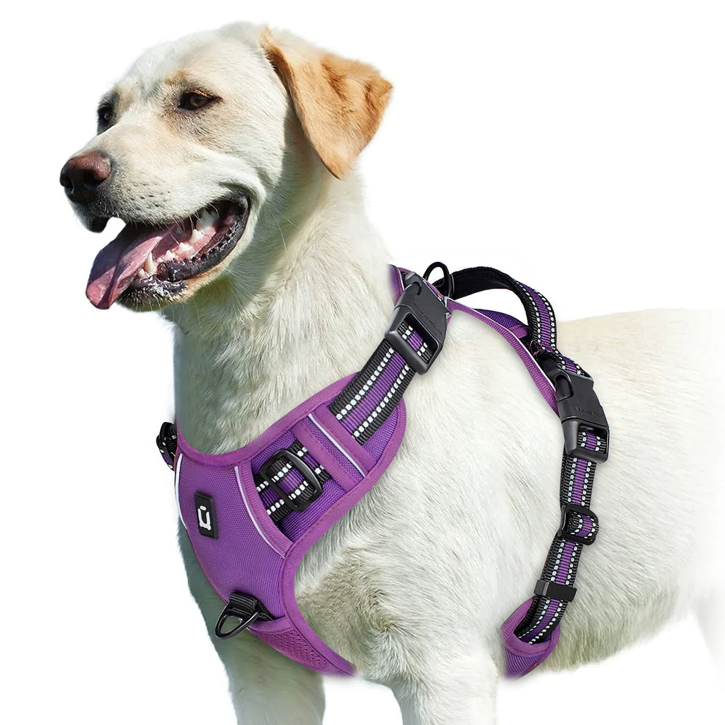 Dog Harness Type: Vest Harnesses