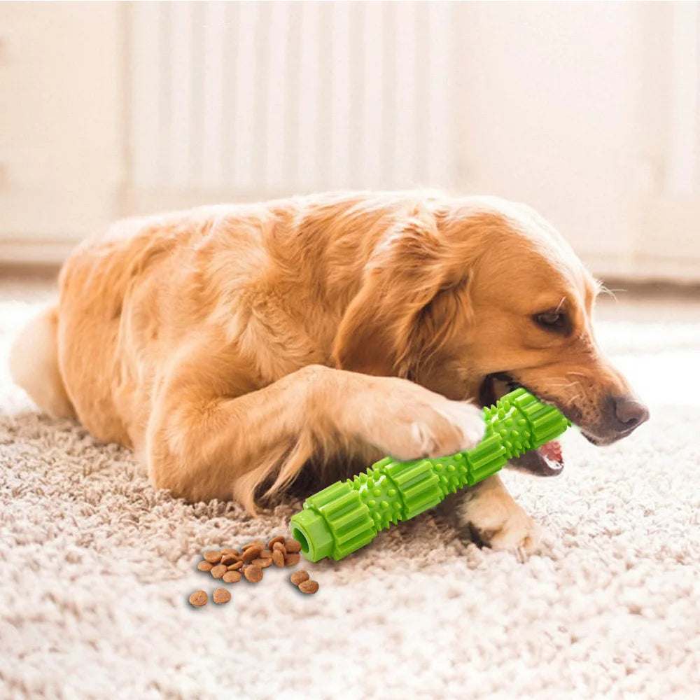 Dog Toy Indestructible