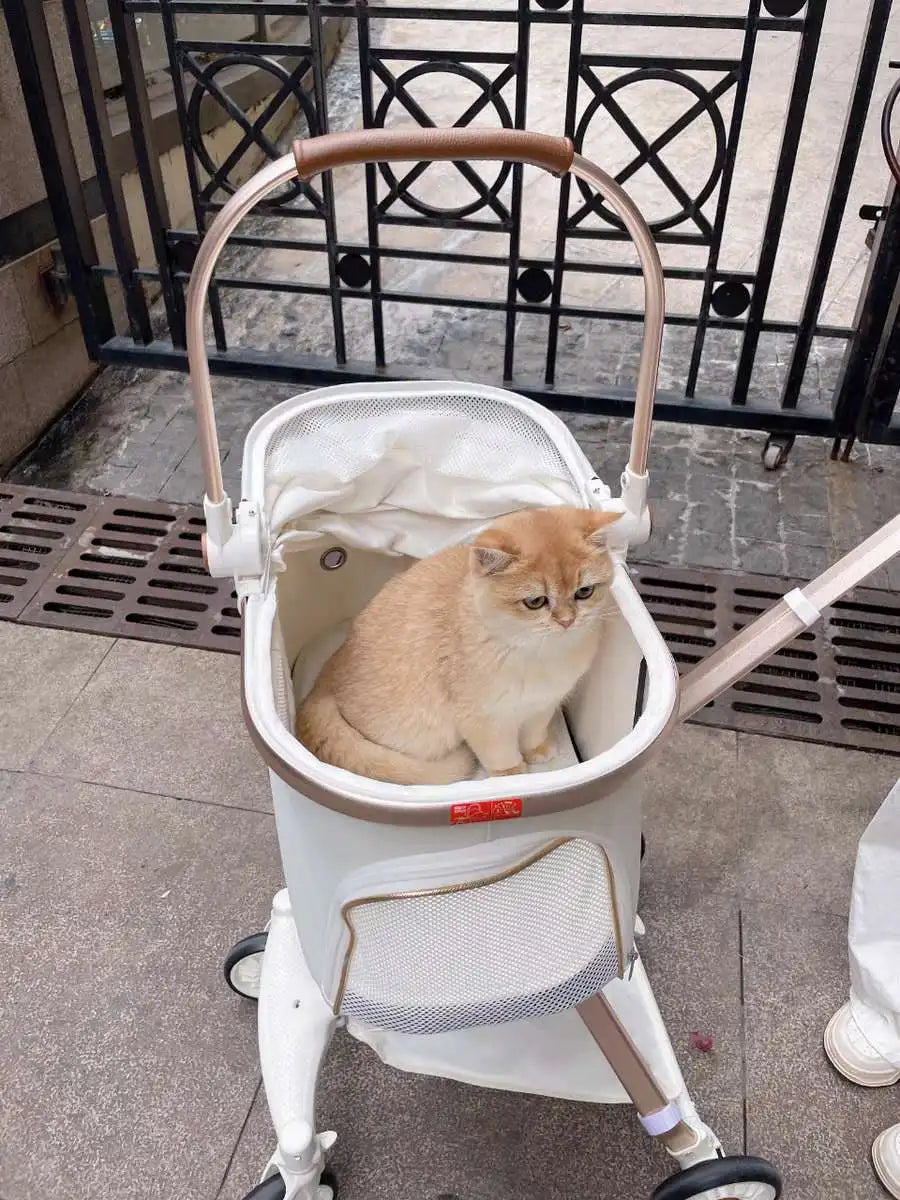 Luxury Cheap 4 Wheel Small Pet Stroller Pet Travel Dog Stroller