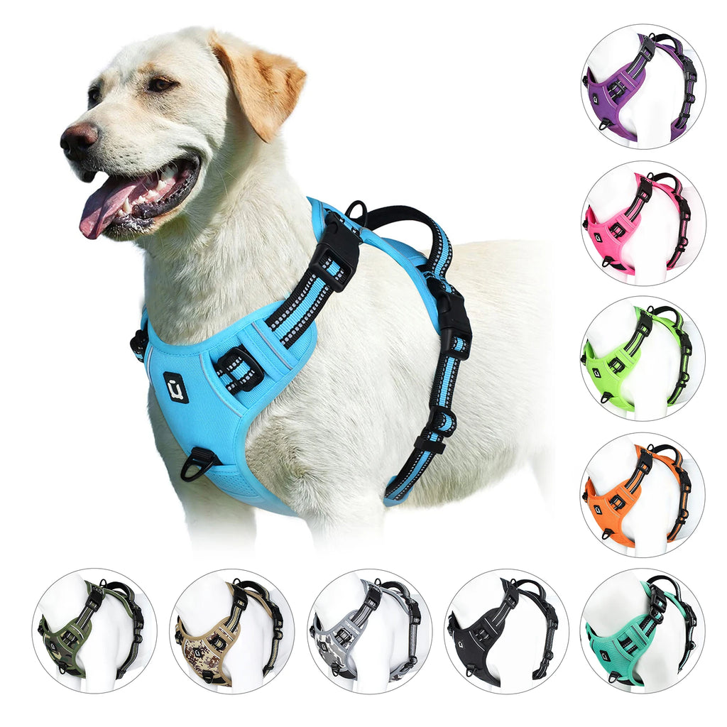 Dog Harness Type: Vest Harnesses