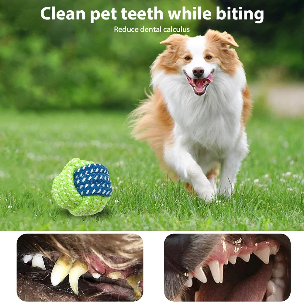 Pet Colorful Accessories Vibrant Dog Toys Squeaking Dog Chew Toys Rope Molar Teeth Cleaning Playtime Fun Kit
