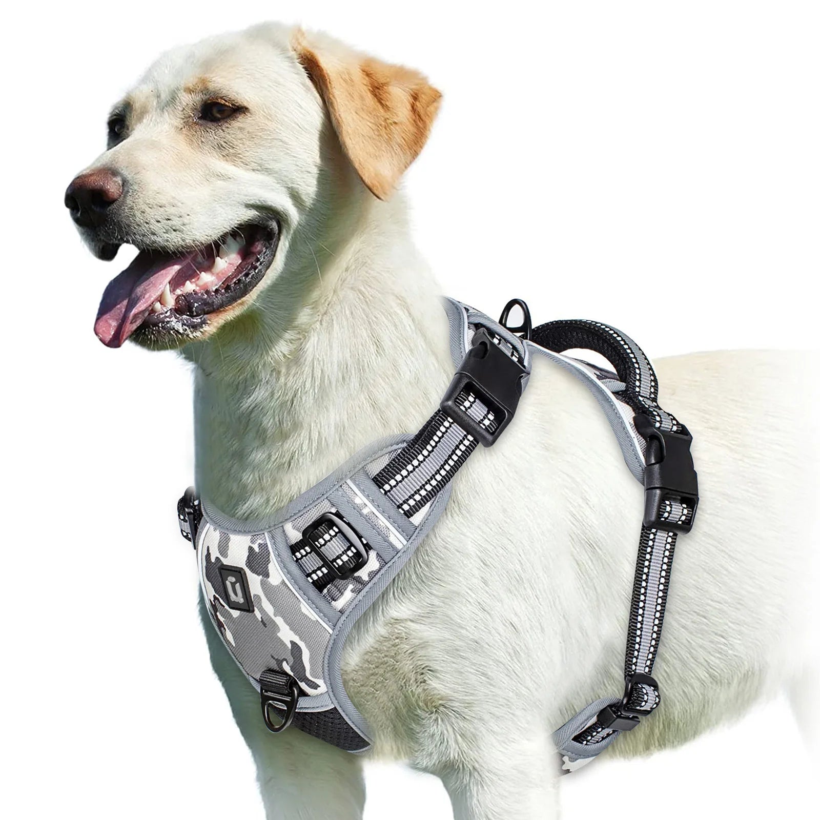Dog Harness Type: Vest Harnesses