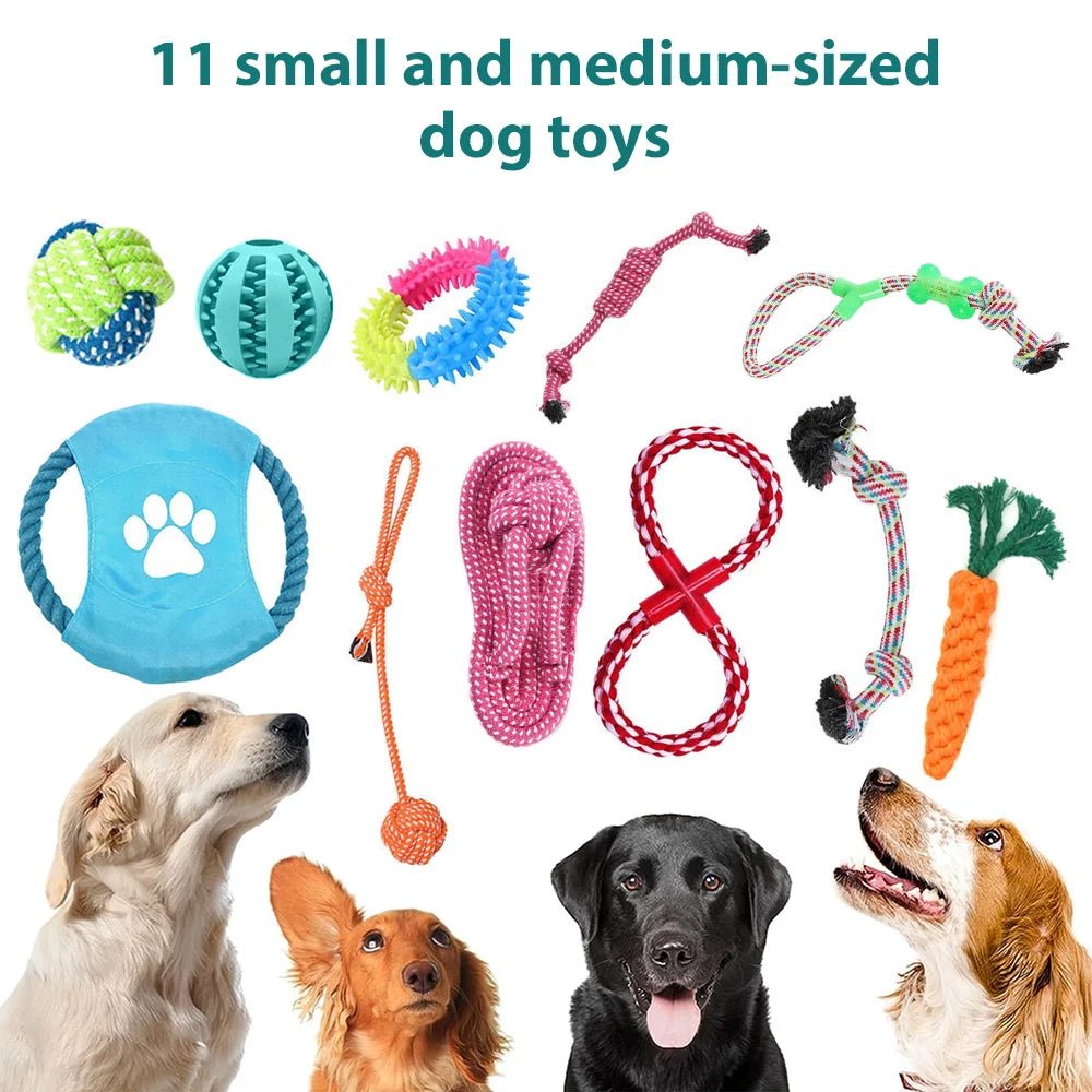 Pet Colorful Accessories Vibrant Dog Toys Squeaking Dog Chew Toys Rope Molar Teeth Cleaning Playtime Fun Kit