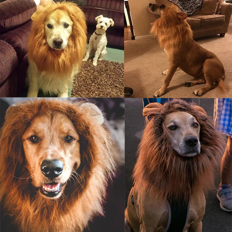 Lion mane for large dogs