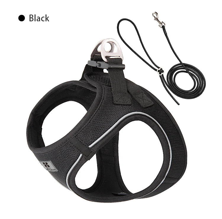 Dog collar and lead set