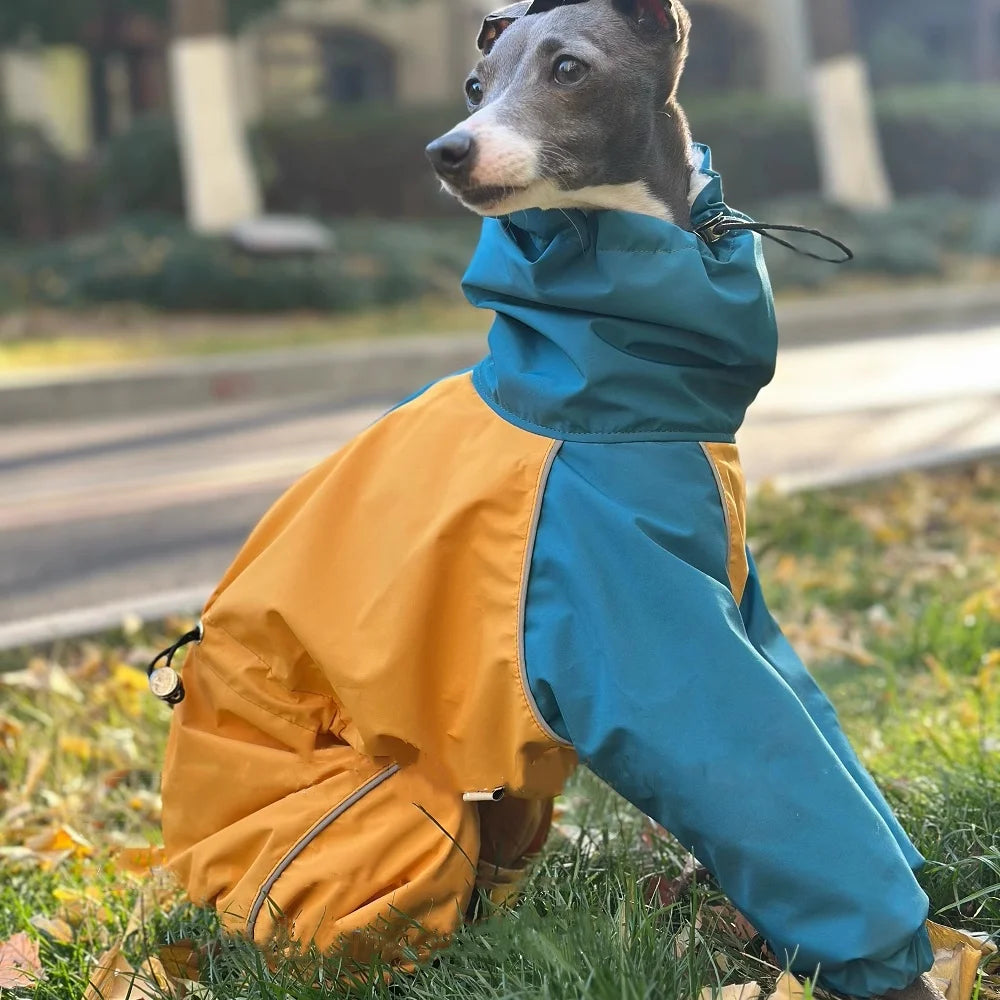 Mid Dog Clothes in Winter 4-legged Plush Blue-Yellow Jacket Windproof Waterproof Zipper Coat Warm RainCoat for Italian Greyhound
