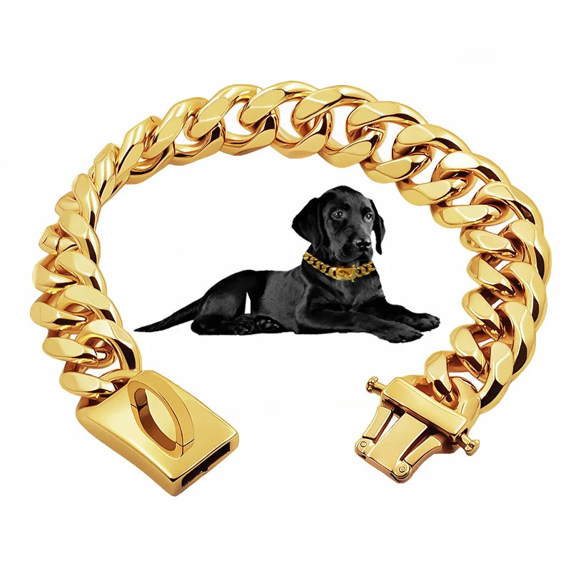 Gold Dog Collar Stainless Steel Pet Metal Choker 19mm Wide Lead for Medium Large Dogs Pet French bulldog Labrador Retriever