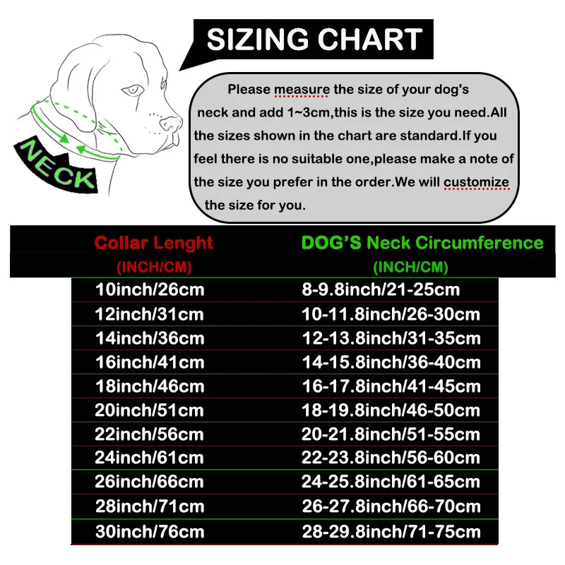 Gold Dog Collar Stainless Steel Pet Metal Choker 19mm Wide Lead for Medium Large Dogs Pet French bulldog Labrador Retriever