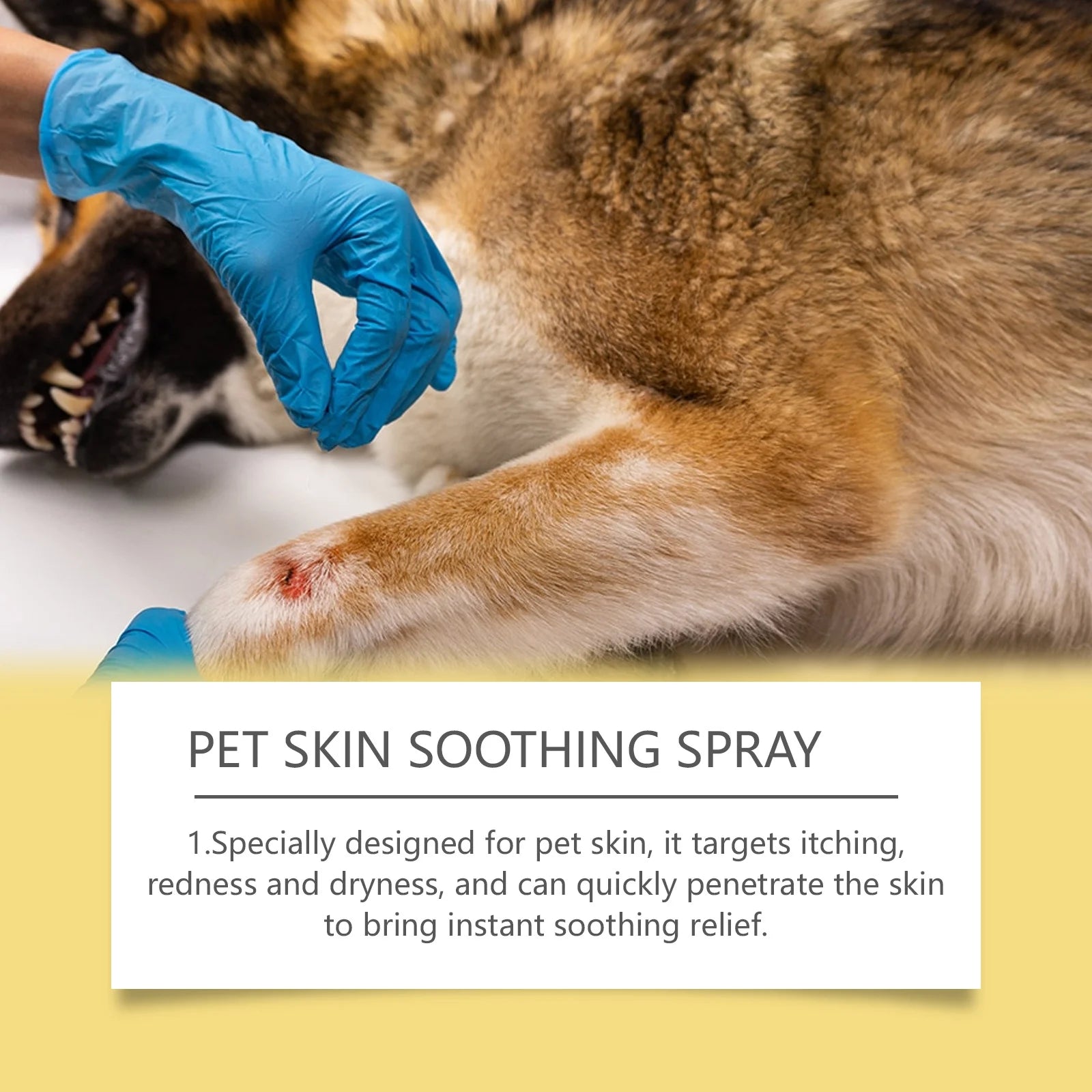 Pet Skin Care Spray Relieve Discomfort for Dogs Cat