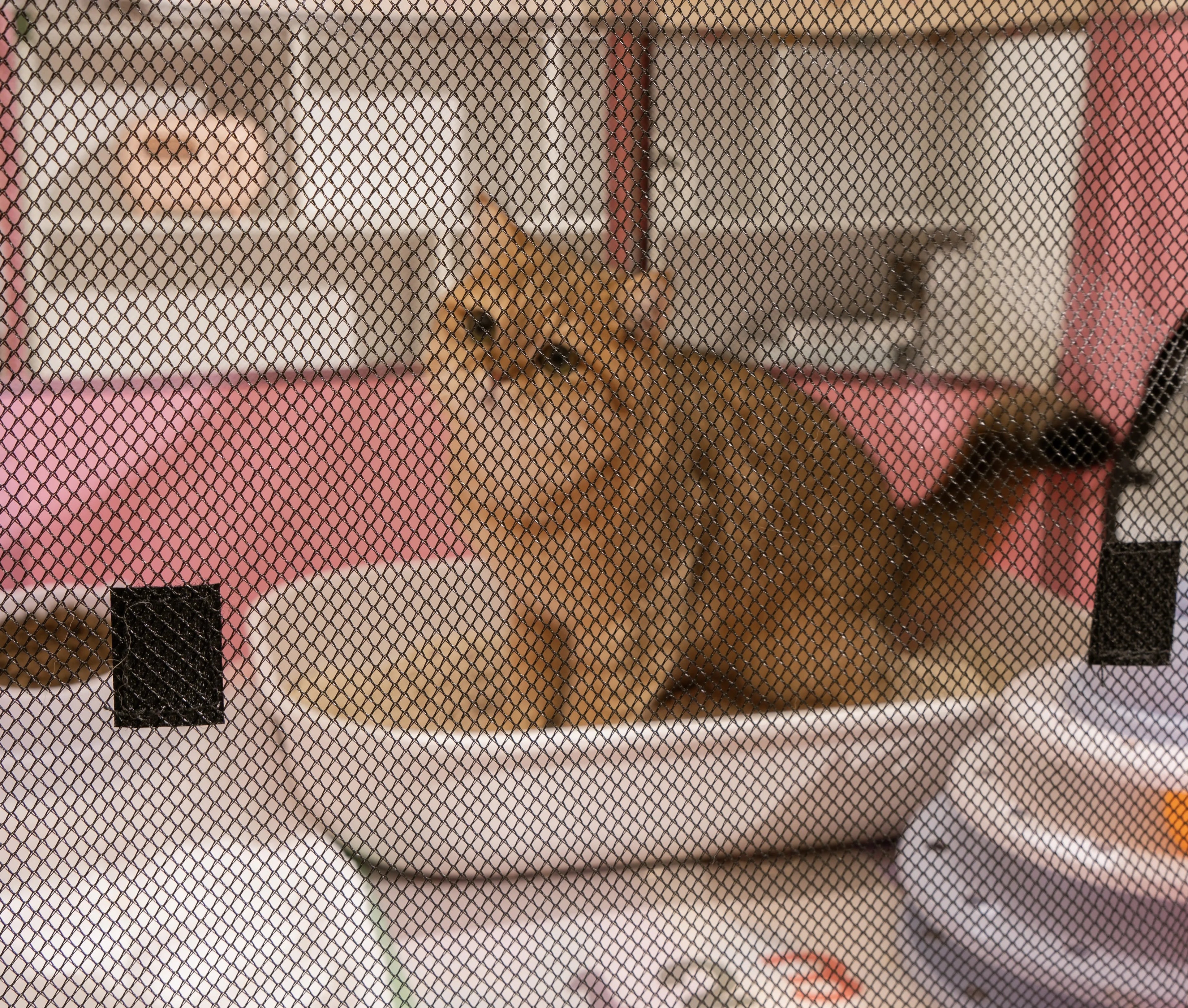 Extra-large, Breathable and See-through Cat Delivery Room With a Pattern Of Broken Flower Prints Hard 300D Oxford cloth Cat Nest